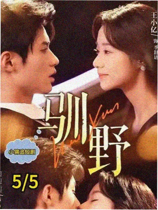回声档案电视剧在线免费看封面